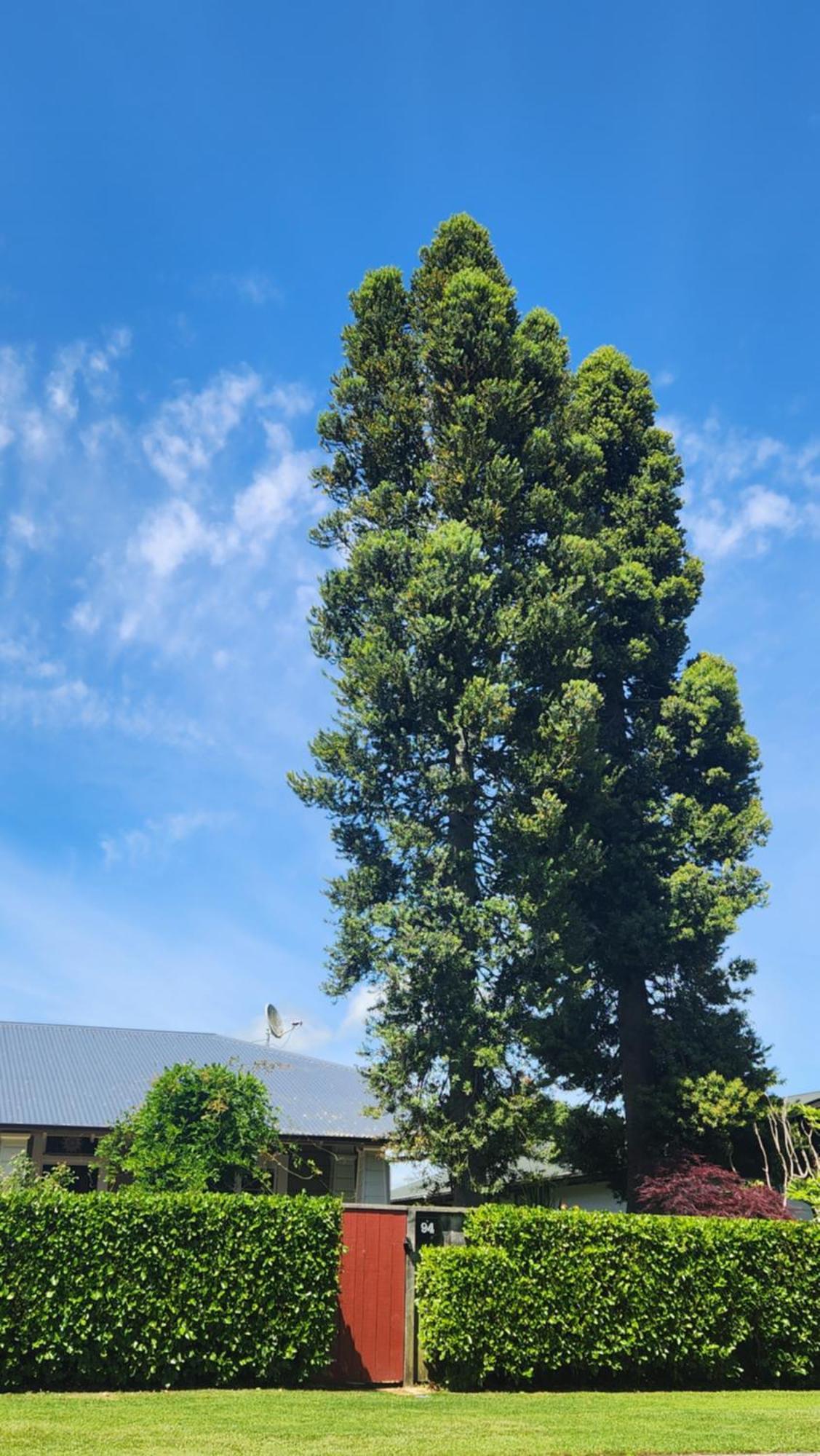坎布里奇 Twin Kauri'S 94酒店 外观 照片